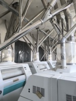 Machine à moudre le blé électrique automatique industrielle avec moteur 380V pour la production de farine, de pain, de pâtes et de nouilles
