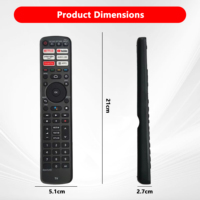 Télécommande vocale de remplacement populaire en gros pour Panasonic modèle PN-V10 avec emballage en boîte PVC en STOCK