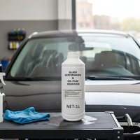 Concentrado 2 en 1 para Vidrios de Auto, Eliminador de Manchas de Aceite y Lluvia, Marca Privada OEM, Suministros Profesionales para Detallado
