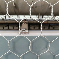 Machine à treillis hexagonal à torsion inversée PLC pour l'élevage, la décoration florale et les clôtures de jardin