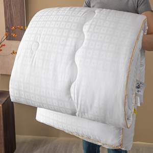 Piumino Jacquard all'ingrosso per hotel, inserto singolo/doppio per primavera/autunno/inverno, dormitorio scolastico, regalo estivo rinfrescante in poliestere - Product Image 1