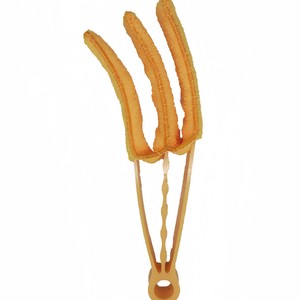 Juego de cepillos de limpieza multifuncionales �°C para ventanas, persianas, persianas, polvo de CA �°C Herramientas de limpieza del hogar - Product Image 4