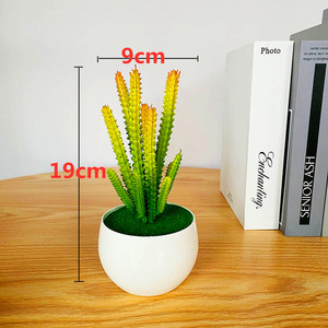 Plante succulente artificielle en pot, 6 longues et 6 courtes, cactus bonsai en PVC souple, ornement de bureau - Product Image 2