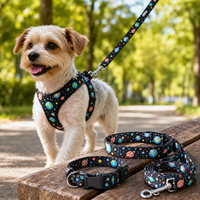 Colliers pour chiens en polyester du Guangdong pour le commerce de gros, pour chiens de petite/moyenne/grande taille, fournitures d'entraînement pour animaux de compagnie, nouveautés