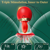 Wasserdichter USB-Aufladbarer Vibrator für Frauen LCD-Display Klitoris G-Punkt Saugvibrator Sexspielzeug