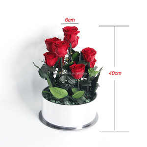 Rose éternelle en gros d'usine, fleur préservée <span class=keywords><strong>Secret</strong></span> Garden, décoration de mariage, coffret cadeau de luxe, essentiel pour les mariages - Product Image 4