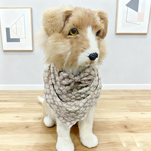 Coleira Personalizada para Cães de Estimação, Conjunto de Coleira e Guia Ecológico e Confortável, Respirável - Product Image 6