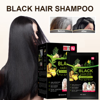 Champú Tinte para el Cabello PLOG, Sobres de 20ml, 4 en 1, Coloración Instantánea, Sin Amoníaco, Cubre Canas, OEM, Marca Privada, Venta al Por Mayor