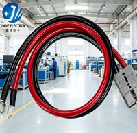 Kabel Ekstensi Daya 12V/24V Kustom Pabrik dengan Terminal Cincin - Konektor Tipe 50A untuk Sepeda Motor, Karavan, Solar, E-bike