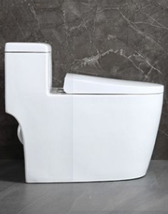 ห้องน้ำเซรามิกต้านเชื้อแบคทีเรียสำหรับผู้ป่วยในโรงพยาบาล - Product Image 3