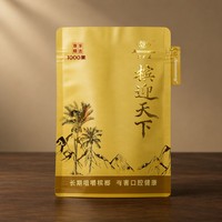 Pochette d'emballage personnalisée pour noix de bétel avec languette latérale, fermeture éclair refermable, sac souple de qualité alimentaire, OEM ODM