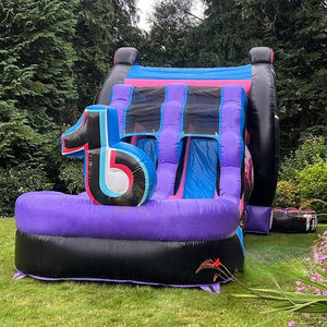 Château gonflable à thème TikTok pour enfants avec toboggan, combo de château gonflable, château gonflable à sauter, toboggan aquatique gonflable - Product Image 3