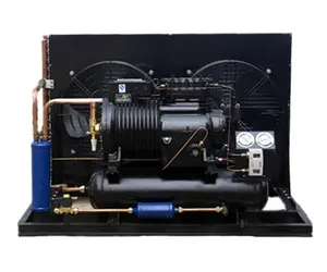 5HP hava soğutmalı yoğuşma ünitesi ile 2CS-500 kompresörü