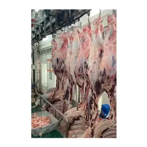 Linha de moldagem para matadouro de gado Halal Máquina para açougueiro de plantas Equipamento para matadouro de carne Máquina para abate de vacas