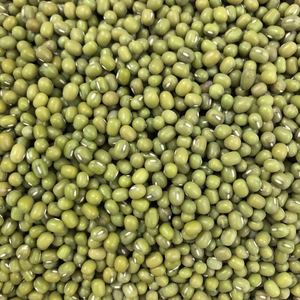 Xuất Khẩu Đậu Xanh Cấp Mầm Cho Thị Trường Việt Nam - Product Image 2