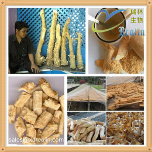 Yüksek Kaliteli Erkek Takviyesi <span class=keywords><strong>Eurycoma</strong></span> <span class=keywords><strong>Longifolia</strong></span> Kök Ekstresi Bitki Ekstresi Tozu 100:1 Tongkat Ali Kök Ekstresi - Product Image 5