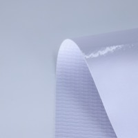 Rouleaux de bannière flexible stratifiés enduits d'encre à solvant Eco Premium 400gsm Matériaux d'impression numérique pour l'extérieur Bannière en vinyle Pana Flex Pvc