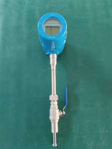 Cung cấp điện kép nhiệt đo lưu lượng chèn loại khối lượng khí nén không khí tùy chỉnh OEM hỗ trợ - Product Image 4