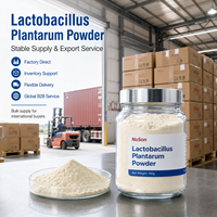 Poudre de Lactobacillus Plantarum de qualité alimentaire, probiotique pour la barrière intestinale, service OEM, certifié GMP, approvisionnement en vrac