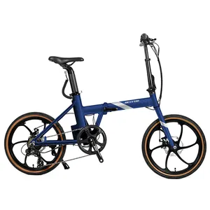 451 Carbon 20 "Wielset Go Cycle Vouwfiets Bici Pieghevole