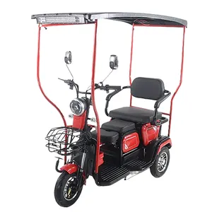 Powerful 60V Electric Tricycles For Adults Tricycle With Solar Power Solar Powered 3 Wheel With Canopy 500W OEM