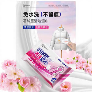 Toallitas de Limpieza para Chaquetas de Plumón ChaoYi, 10 Piezas, Secado Rápido, No Requiere Lavado, Quitamanchas para Ropa, Uso Doméstico - Product Image 2