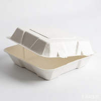 Duurzame, biologisch afbreekbare verpakkingen van suikerrietbagasse voor voedsel, wegwerpverpakkingen voor restaurants, groothandelsbestellingen