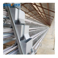 Cage à poulets de type A entièrement automatique et galvanisée pour élevage avicole – Cage essentielle pour l'élevage de poulets