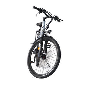 Suministro de fábrica, bicicleta eléctrica todoterreno de 36V, neumático grueso, Motor de cubo de 350W, batería de litio, bicicleta eléctrica para adultos - Product Image 2