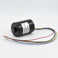 Motor DC Gear Brushless 12v 24v 10w Daya Rendah Kecepatan Tinggi 5000rpm 6000rpm Torsi Rendah 20mnm dengan Sertifikasi CE RoHS, Total 500+ Ulasan