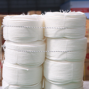 6mm/8mm/10mm/12mm poly/<span class=keywords><strong>Polyester</strong></span>/nylon xoắn dây, 3 sợi dây - Product Image 1
