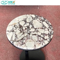 HZX Durable Calacatta Violet Viola Marbre Plinthe Côté Top Pierre Style Minimaliste Table Basse pour Salon Meubles de Maison