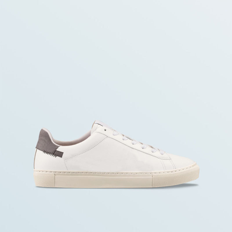 Color scheme Color 2