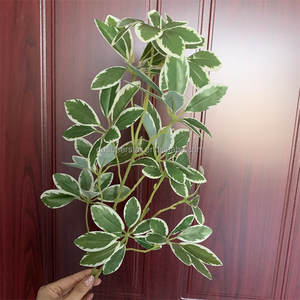 E-449 artificiali Schefflera verde ombrello di plastica verde piante foglie brevi rami verdi piante artificiali Schefflera - Product Image 2