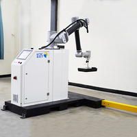 Palettiseur de caisses en carton industriel ollaboratif Palettiseur de bras robotisé Palettiseur robot