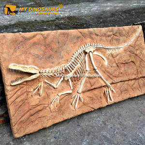 Esqueleto fósil dinosaurio Velociraptor realista My Dino Mundo Jurásico de los años 2000 - Product Image 4