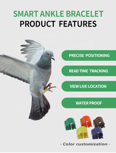 F-007 8Mm Aangepaste Pom Laser Gegraveerde Vogels Beenbanden Met Papegaaienvoet Tag Voor Vogels En Duiven - Product Image 2