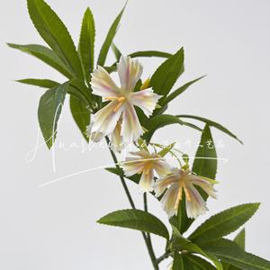 Water Stone Banyan Artificial <b>Flowers</b> <b>Single</b> Branch High Simulation Plastic Silk Wedding Decorations - Product Image 1