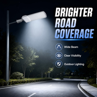 Lampadaire Commercial LED en Aluminium CRANE AC IP65 140Lm/W SMD 2835 pour Éclairage Extérieur de Voies Publices et de Parkings – Garantie 5 Ans