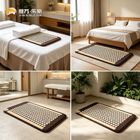 Jiwan Lejia Vente en gros de mini-tapis chauffant personnalisé en tourmaline pour les établissements de soins aux personnes âgées