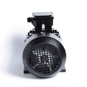 Motor Asíncrono Trifásico de Inducción IE4 de 2 Polos, 55 kW, 75 hp, 75 CV, de Diseño Popular y Proveedor de Rodamientos de Confianza - Product Image 3