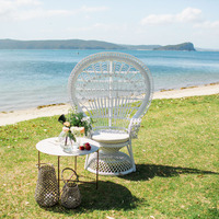 Chaise de banquet en aluminium blanc royal de style paon pour mariages et réceptions en plein air, design confortable