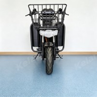 Promotion d'usine pour les services de livraison de nourriture et de colis : Moto électrique de transport promotionnelle, Vélo électrique, Scooter de livraison