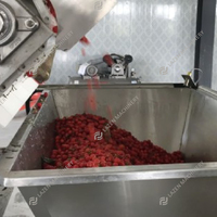 1 ~ 60 Ton Per Uur Industriële Hoogwaardige Aardbeienpulpverwerkingsmachine Productielijn Aardbeienverwerkingsmachines