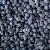 Bleuets sauvages biologiques Meilleurs surgelés IQF non sucrés en vrac Congélation flash Bleuets frais cueillis Compliments Prix de gros