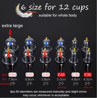 Ventouses en verre de feu chinoises traditionnelles Jinkang Machine à ventouses sous vide 12 tasses ventouses Hijab bocaux ventouses AntiCellulite