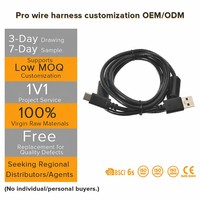 Terminal Kabel PVC/PTFE Profesional untuk Pemasangan dan Perakitan Harness Kabel Sensor IoT Kustom