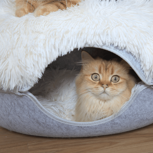 Nido per gatti con ciambella in feltro per animali domestici può essere staccabile un <span class=keywords><strong>tunnel</strong></span> con cerniera semi chiuso per gatti con pile per tenere al caldo un allevamento di peluche di lusso - Product Image 6
