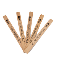 Bâtonnets en bois de bouleau multi-usages jetables pour mélanger les engrais de jardin, marqueurs de plantes, fournitures de camping et d'extérieur