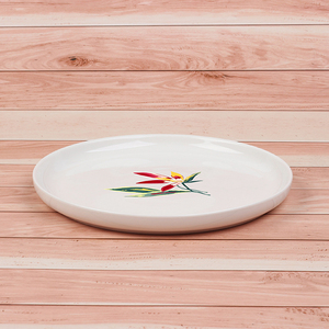 8.25 inch phẳng sa mạc tấm món ăn mới xương sứ gốm khay thức ăn nhà hàng khách sạn LFGB pro65 FBA tiêu chuẩn - Product Image 3